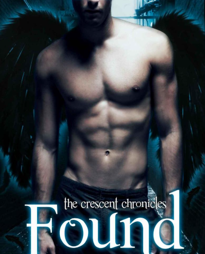 E-BOOK Alyssa Rose Ivy - Found