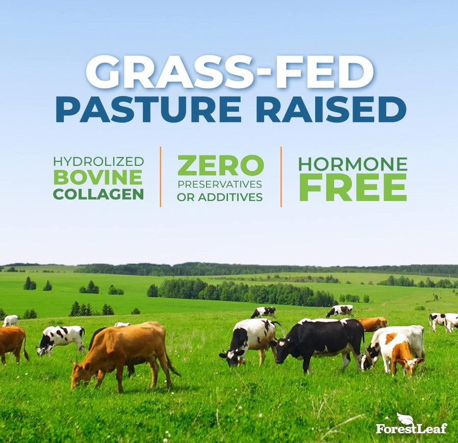 ForestLeaf Collagen Peptides (454g, Unflavored)