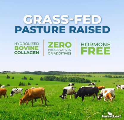 ForestLeaf Collagen Peptides (454g, Unflavored)