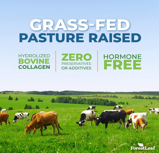 ForestLeaf Collagen Peptides (454g, Unflavored)