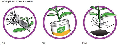 Garden Safe Takeroot Rooting Hormone (56.6g)
