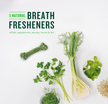 Minties Tiny Dental Dog Treats (1 Pack, 40 Pieces)